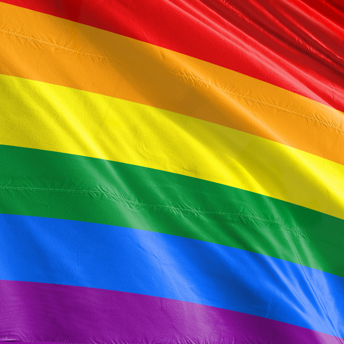 Pride Flags Flagmaker & Print