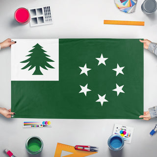 Second American Civil War Flags