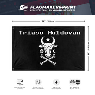 Moldovan Supportive Army flag (Triasc Moldovan)