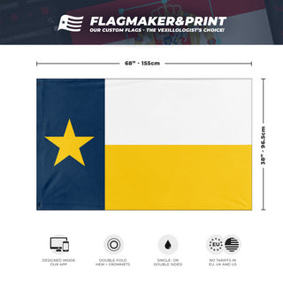 texas umich flag (page)