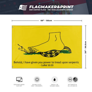 Christian Gadsden  flag (DT)