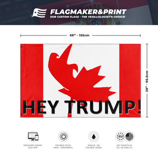 HeyTrump flag (BrianA)