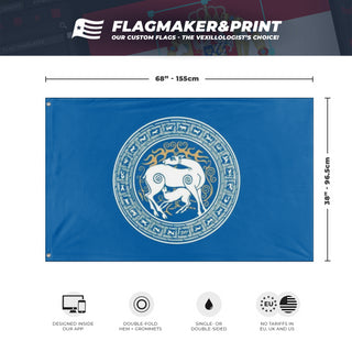 TSU flag (Irakli Tcintcharauli)