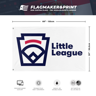PulaskiLittleLeague flag (Sam Price)