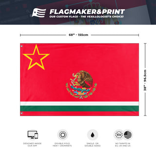 Mexico SSR flag (DT)