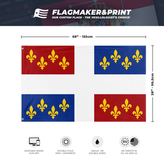 dsccsdcds flag (fadsafds)
