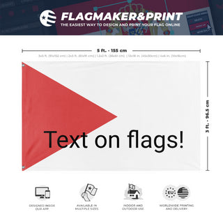 A mockup depicting custom flag specifications and measurements for 'd flag'