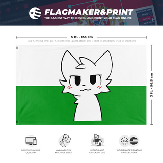 A mockup depicting custom flag specifications and measurements for 'Boykisser-Saxony flag'