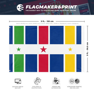 A mockup depicting custom flag specifications and measurements for 'central african republic flag'