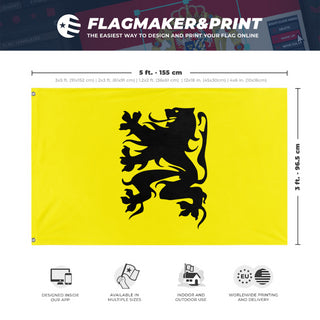 A mockup depicting custom flag specifications and measurements for 'Test 41 flag'