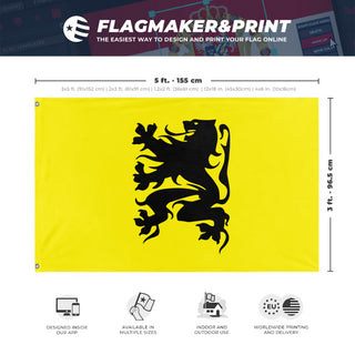 A mockup depicting custom flag specifications and measurements for 'test1 flag'