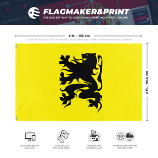 A mockup depicting custom flag specifications and measurements for 'test2 flag'