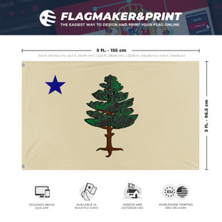 A mockup depicting custom flag specifications and measurements for '1901 Maine Flag'