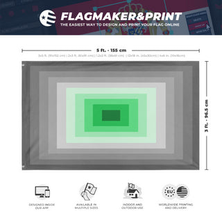 A mockup depicting custom flag specifications and measurements for 'Schizophrenia Pride Flag'