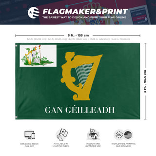 A mockup depicting custom flag specifications and measurements for 'Harp of Eirinn flag'