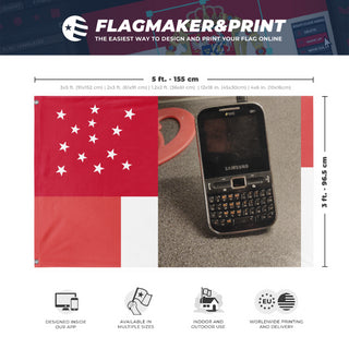 A mockup depicting custom flag specifications and measurements for 'T flag'