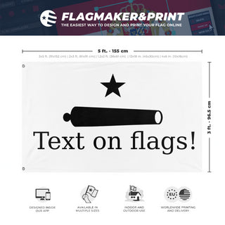A mockup depicting custom flag specifications and measurements for 't  flag'