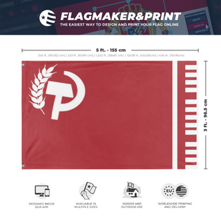 A mockup depicting custom flag specifications and measurements for 'Socialistic Union of America flag'