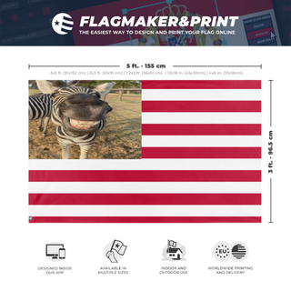 A mockup depicting custom flag specifications and measurements for 'Bemland flag'