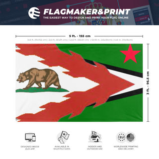 A mockup depicting custom flag specifications and measurements for 'California flag redesign'