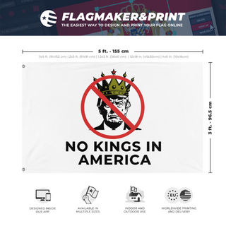 A mockup depicting custom flag specifications and measurements for 'No Kings in America flag'