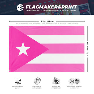 A mockup depicting custom flag specifications and measurements for 'Pink Puerto Rico  flag'
