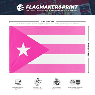 A mockup depicting custom flag specifications and measurements for 'Pink Puerto Rican  flag'