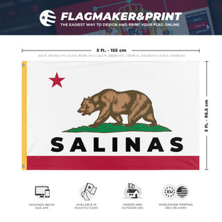 A mockup depicting custom flag specifications and measurements for 'Salinas flag'