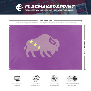 A mockup depicting custom flag specifications and measurements for 'The Bison flag'