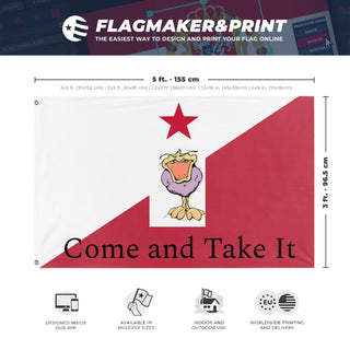 A mockup depicting custom flag specifications and measurements for '5 South Jack flag'