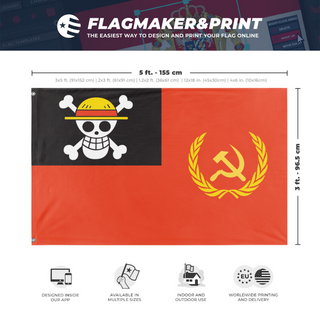A mockup depicting custom flag specifications and measurements for 'One Piece Gen Z Leftist Protest Flag'
