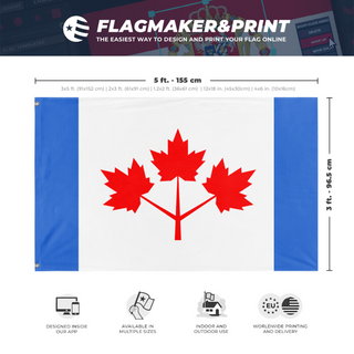 A mockup depicting custom flag specifications and measurements for 'Pearson Pennant flag'