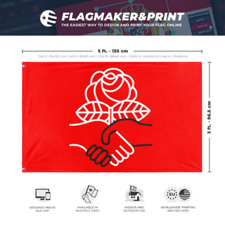 A mockup depicting custom flag specifications and measurements for 'DSA flag'