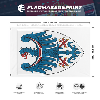 A mockup depicting custom flag specifications and measurements for 'Krain Region flag'