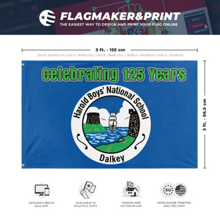 A mockup depicting custom flag specifications and measurements for 'Harold Boys National School flag'