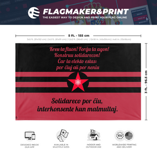 A mockup depicting custom flag specifications and measurements for 'Solidarity  flag'