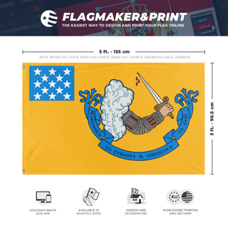A mockup depicting custom flag specifications and measurements for 'Gostelowe Standard No.10 flag'