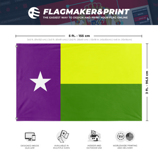 A mockup depicting custom flag specifications and measurements for 'The Galveston flag'