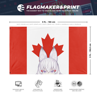 A mockup depicting custom flag specifications and measurements for '10ma flag'
