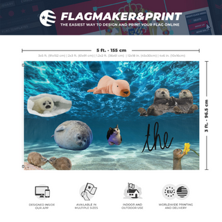 A mockup depicting custom flag specifications and measurements for 'the flag'