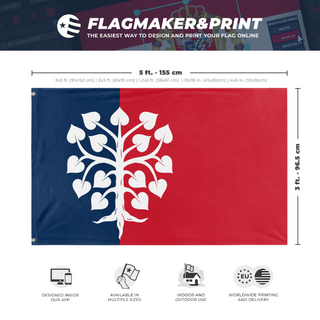 A mockup depicting custom flag specifications and measurements for 'Socialist France flag'