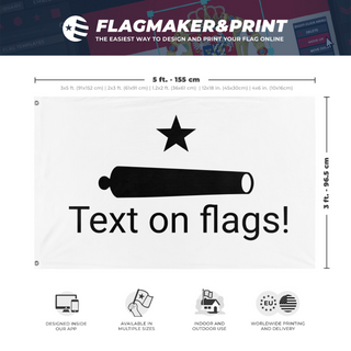A mockup depicting custom flag specifications and measurements for 'test flag'