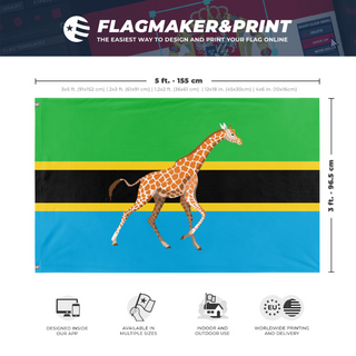 A mockup depicting custom flag specifications and measurements for 'Tanzania In the Style of Wales flag'