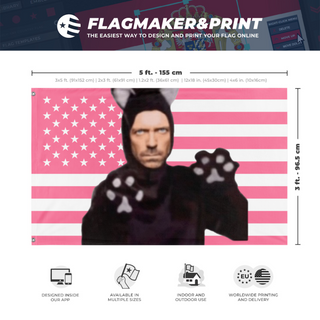 A mockup depicting custom flag specifications and measurements for 'Dr. House flag'