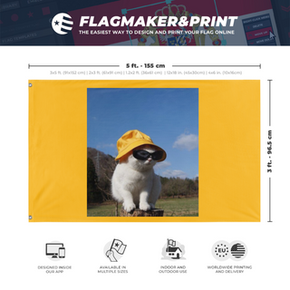 A mockup depicting custom flag specifications and measurements for 'minimeow flag'