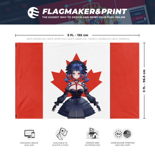 A mockup depicting custom flag specifications and measurements for 'Dizzy Smol flag'