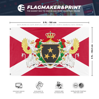 A mockup depicting custom flag specifications and measurements for 'Free City of Dennium flag'