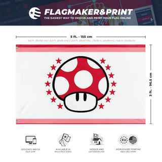 A mockup depicting custom flag specifications and measurements for 'Mushroom Kingdom flag'