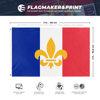 A mockup depicting custom flag specifications and measurements for '2026 France flag'
