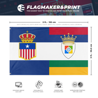 A mockup depicting custom flag specifications and measurements for 'Micron American Empire New flag'
